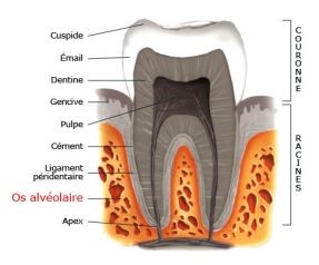 Implantologie dentaire 2 esthétique tunisie, clinique tunisie, abdominoplastie tunisie, rhinoplastie tunisie, chirurgie pas cher, liposuccion tunisie, opération tunisie, lifting tunisie, chirurgie esthétique tunisie, chirurgie homme tunisie, lipofilling tunisie, augmentation mammaire tunisie