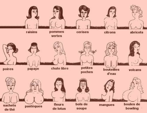 Vous ne devinerez jamais ce que la forme de vos seins peut dire de vous…